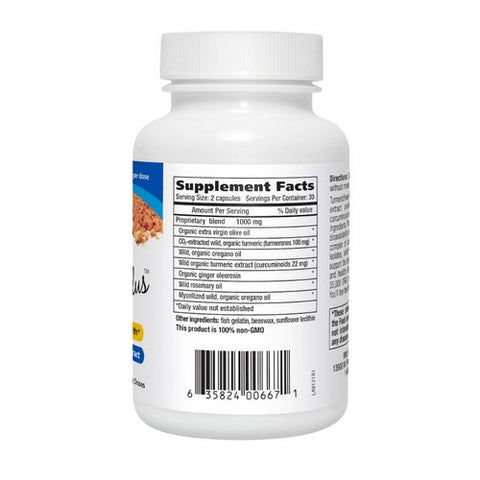 North American Herb & Spice, Turmeric Power-Plus, 60 Softgels