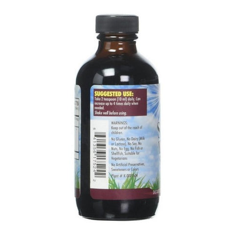 L. A .Naturals, Sambucus Elderberry Syrup, 4 Oz