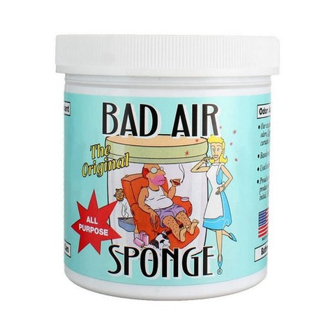 Bad Air Sponge, All Purpose Sponge, 14 Oz