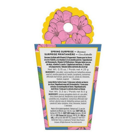Burts Bees, Spring Surprise Beeswax, 1 Count