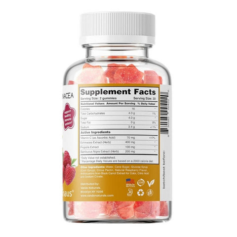 Apihaus, Propolis And Echinacea Kids Gummies Raspberry, 60 Count