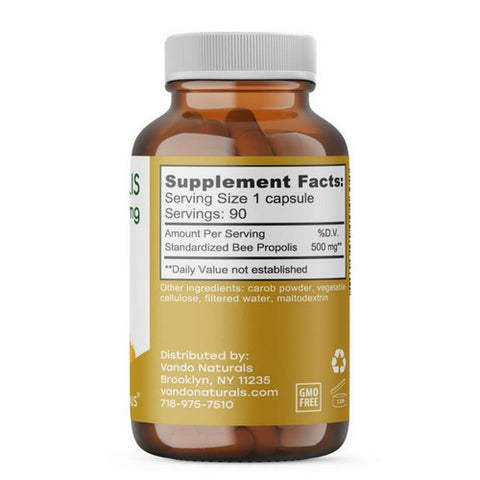 Apihaus, Propolis, 500 Mg, 90 VegCaps