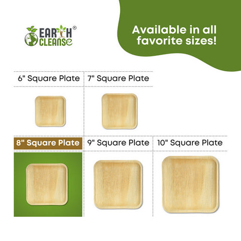 Earth Cleanse, Areca Palm Leaf Square Plates 8-Inch, Pack of 25