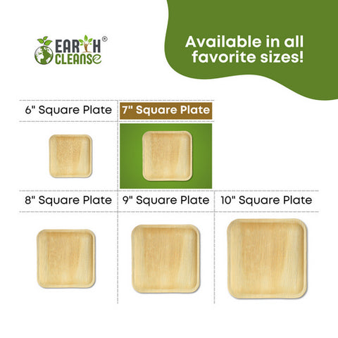Earth Cleanse, Areca Palm Leaf Square Plates 7-Inch, Pack of 25