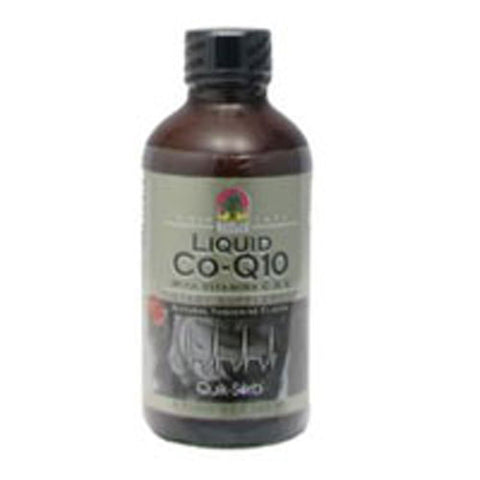 Nature's Answer, Platinum Co-Q10, LIQUID, 4 OZ