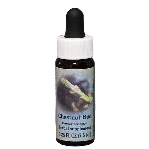 Flower Essence Services, Chestnut Bud Dropper, 0.25 oz