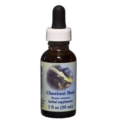 Flower Essence Services, Chestnut Bud Dropper, 1 oz