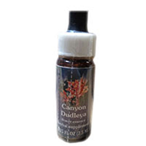 Flower Essence Services, Canyon Dudleya Dropper, 0.25 oz